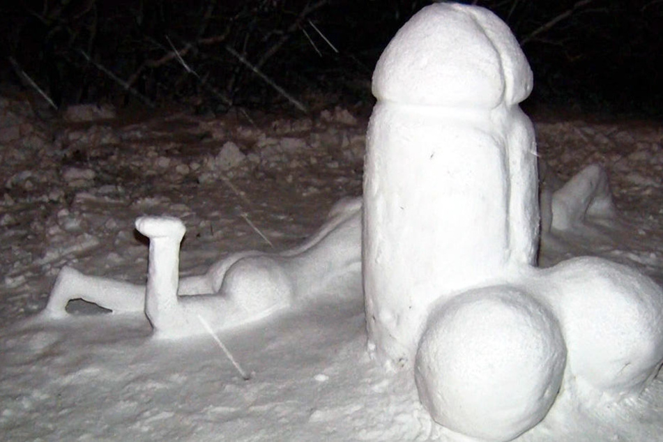 Die Schneekünstler aus Radeberg haben sich wieder ganz viel Mühe gegeben.