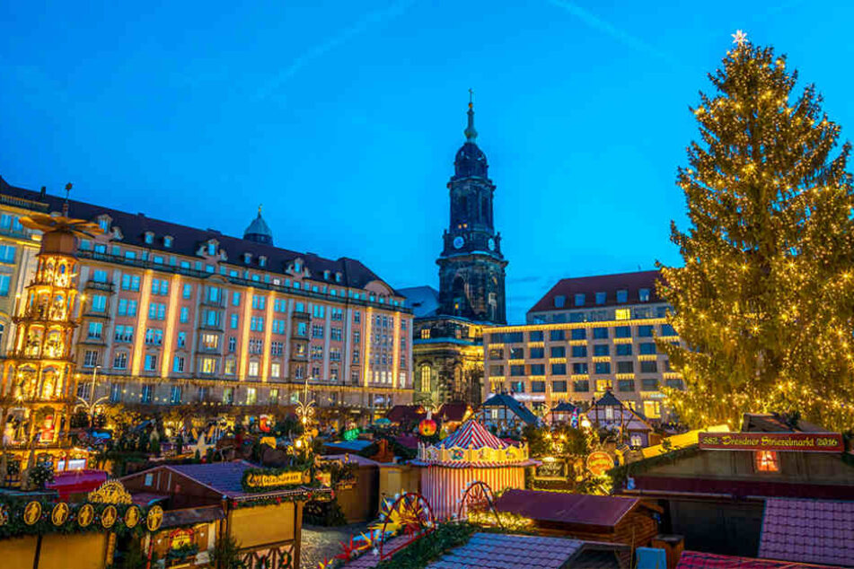 Lichtprobe bestanden: So schön leuchtet es auf dem 582. Striezelmarkt.