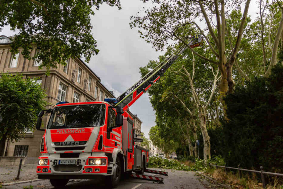 Die Feuerwehr holte den Kleinen mit einer Drehleiter herunter. (Symbolbild)