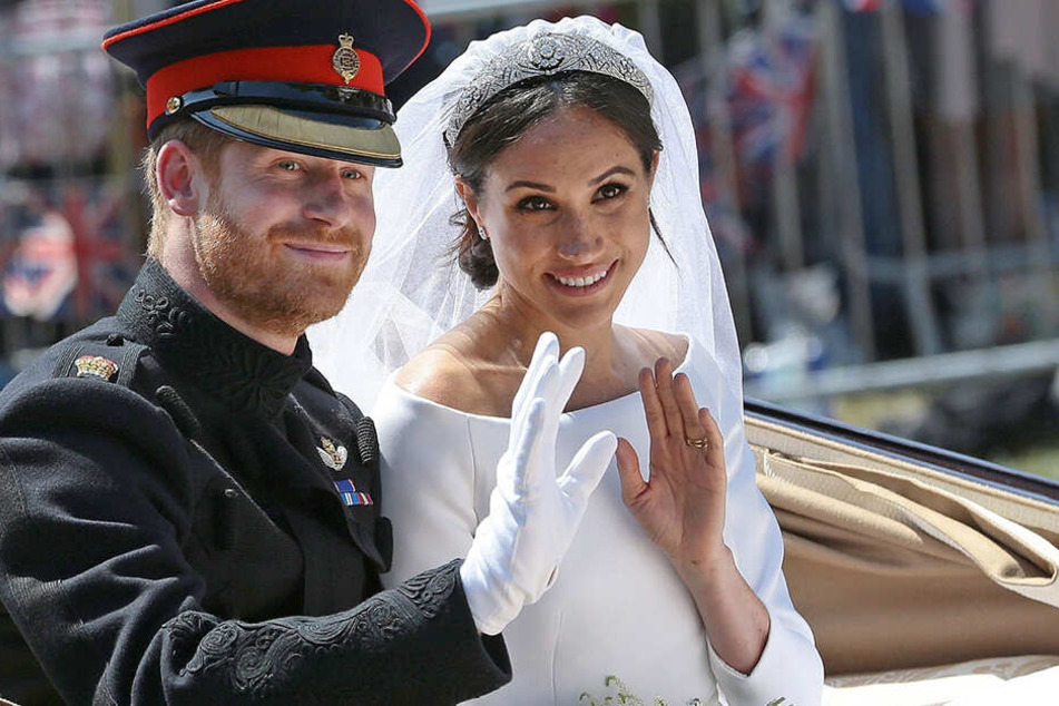Da hast sich Harry anscheinend kein zahmes Kätzchen ausgesucht - doch er hält fest an der Ehe zu Meghan.