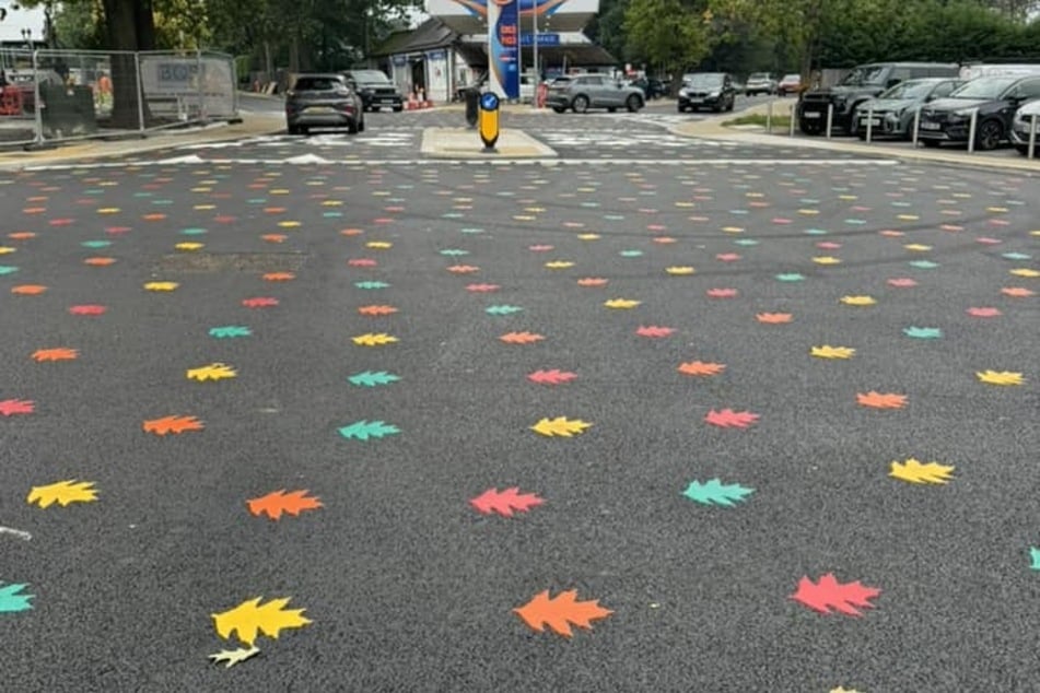 Die aufgemalten Blätter auf der Kreuzung sind in den Farben des Regenbogens gehalten.