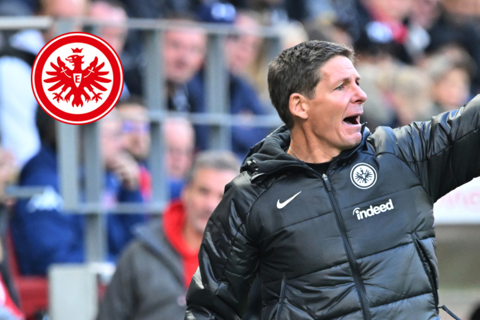 Eintracht-Coach Glasner will die Großen angreifen und "nächsten Gipfel" erklimmen