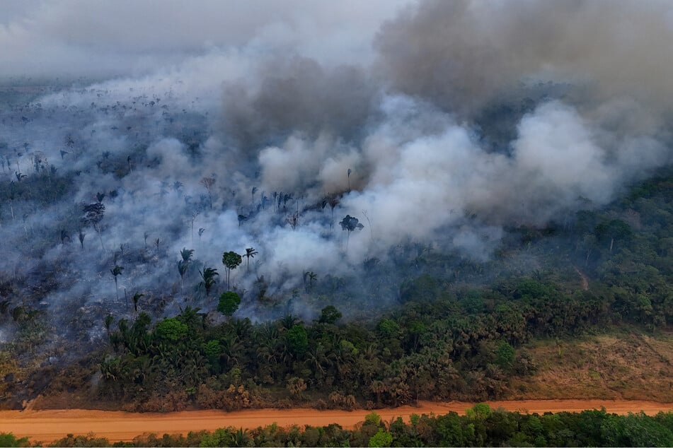 Tens of thousands of fires swept through the Brazilian Amazon during the forest fire season, with the blazes destroying an area about the size of Italy.