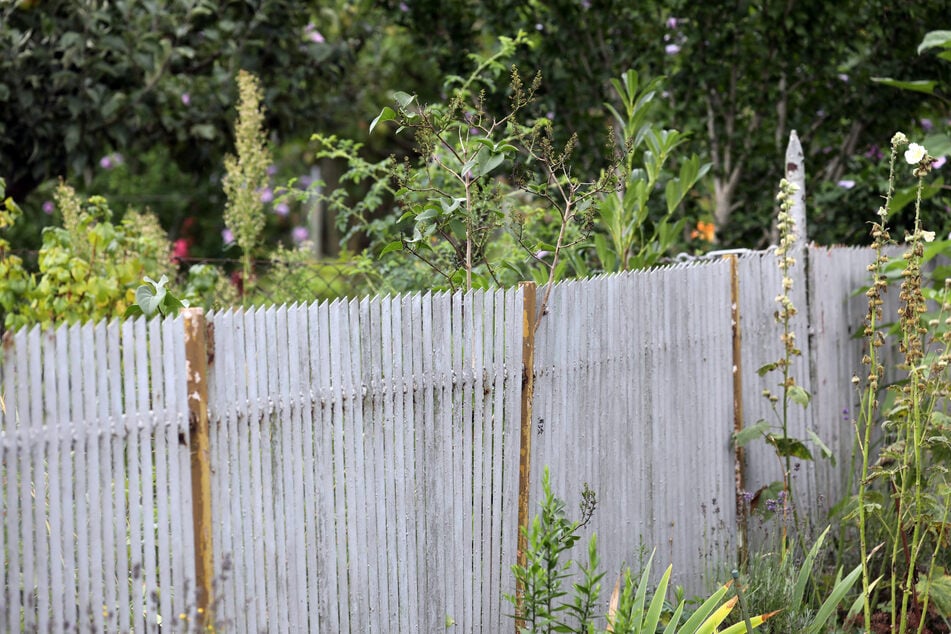 Nicht immer finden Streitereien zwischen Nachbarn über den Gartenzaun hinweg statt. (Symbolfoto)