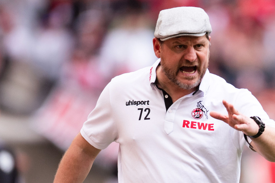 Steffen Baumgart (50) steht vor einer Vertragsverlängerung beim 1. FC Köln.