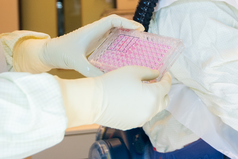 Eine Wissenschaftlerin hält eine Multiwellplatte mit vom Coronavirus infizierten Zellkulturen (Symbolbild).