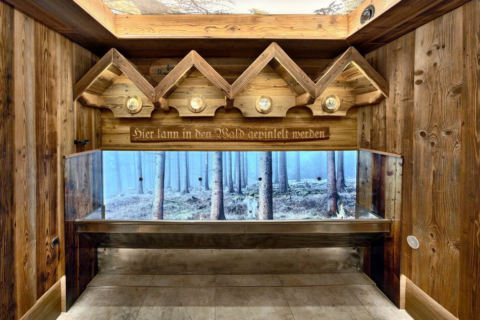 Dieses Pissoir vermittelt den Eindruck, dass man sich direkt im Wald erleichtert.