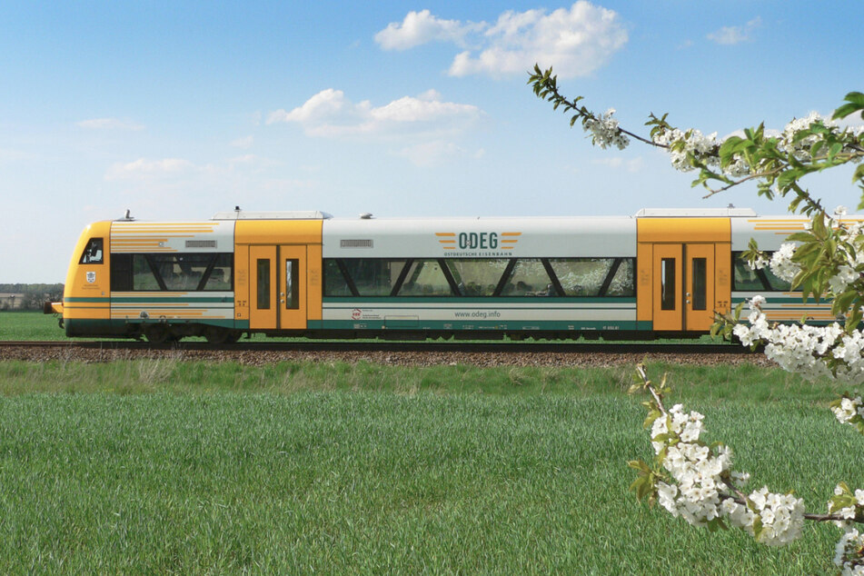 Die Ostdeutsche Eisenbahn bringt mit diesen gelben PS-Wundern täglich Menschen näher zusammen.