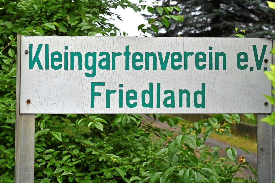 Der Kleingartenverein Friedland muss weichen, weil die Stadt die Flächen Unternehmen anbieten will.