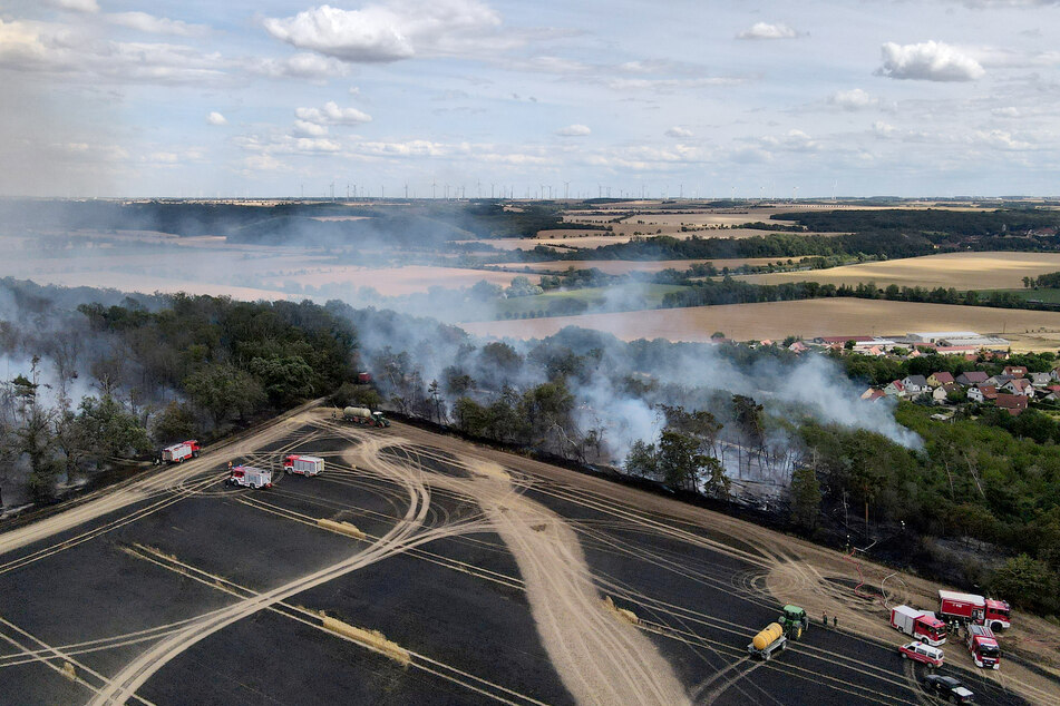 Dienstag wird die Waldbrandstufe 4 erwartet. Dann sollen betroffene Waldgebiete gemieden werden. (Archivbild)