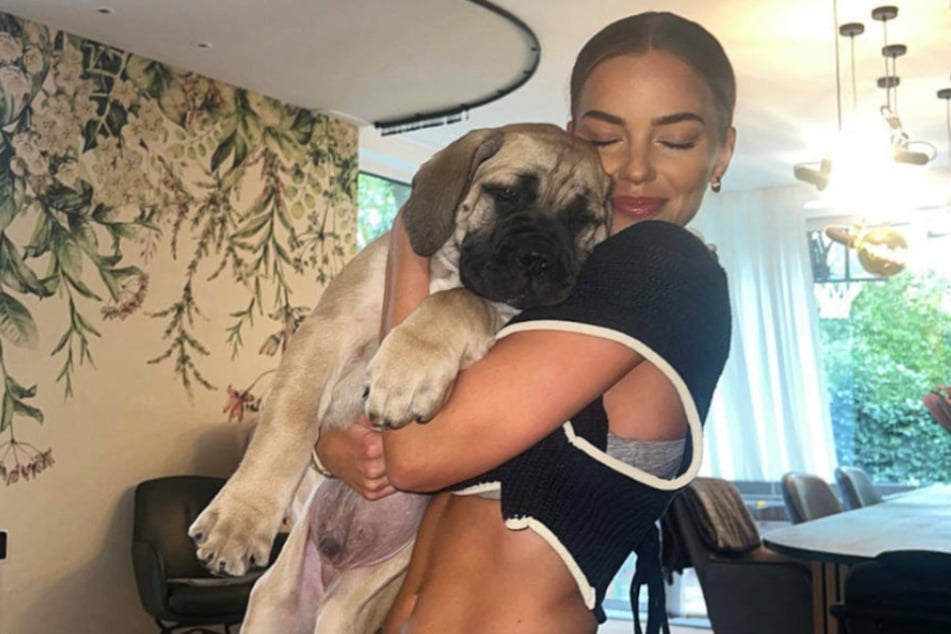 Die Influencerin hat ein ganz besonders großes Herz für Tiere, speziell für ihre eigenen Hunde.