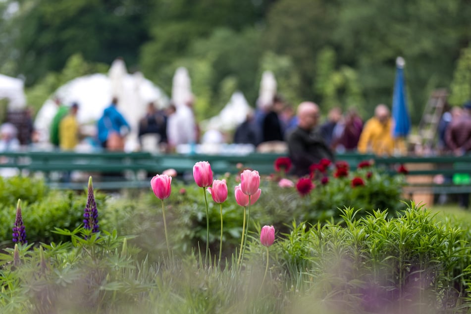 Im Botanischen Garten in Köln werden immer wieder von Experten verschiedene Garten- und Pflanzen Workshops angeboten. (Symbolbild)