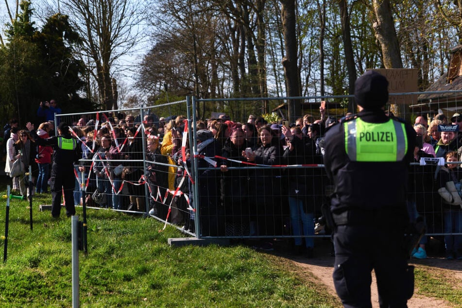 Umweltaktivisten demonstrieren vor Ort für die Rettung des Buckelwals.