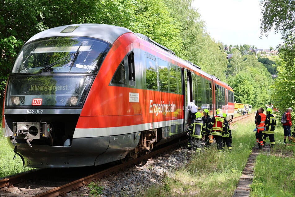 Insgesamt 31 Fahrgäste mussten aus dem Zug evakuiert werden. Die Strecke musste stundenlang gesperrt werden.