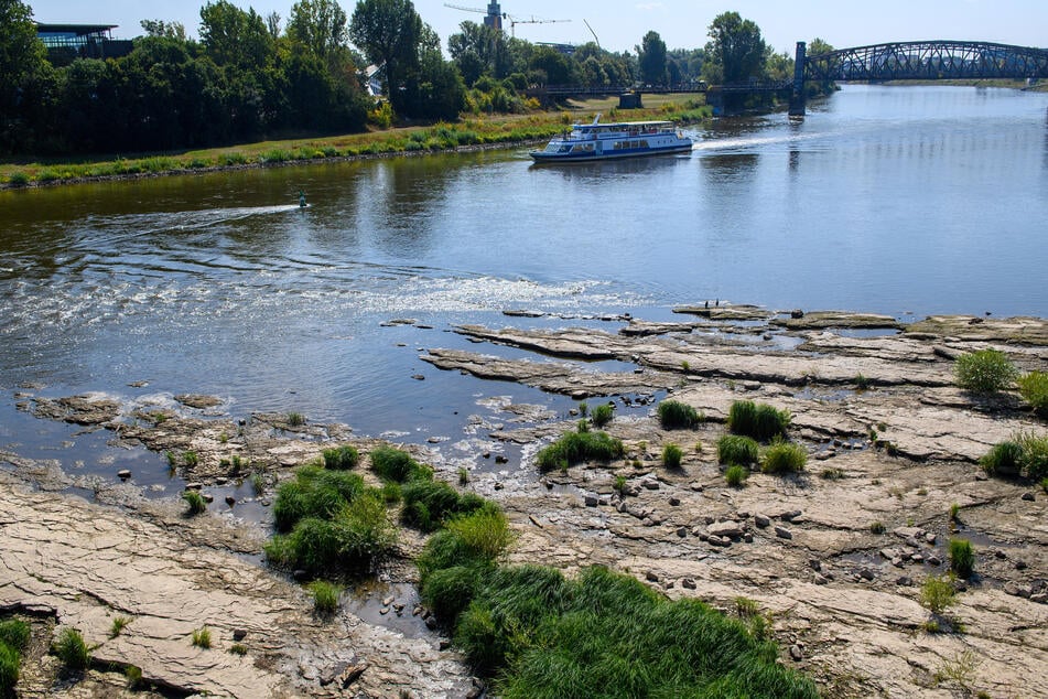 Die Wasserstände von Elbe und Donau sinken seit Tagen. (Archivbild)