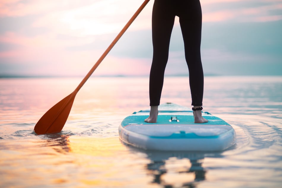 A Florida paddleboarder kept her cool in a close encounter with a hammerhead shark.