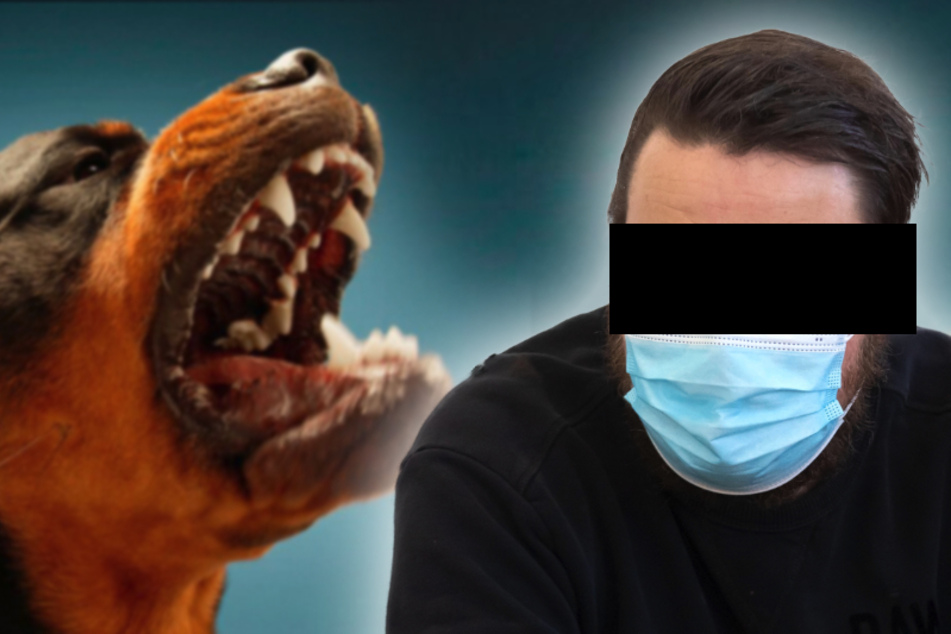 Hundebesitzer hetzte Rottweiler auf behinderte Frau: Nun fiel das Urteil!