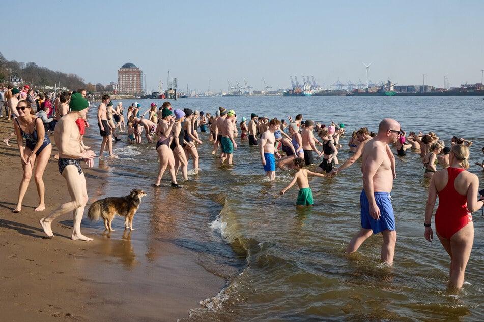 Bei bestem Hamburger Wetter nahmen zahlreiche Menschen am Eisbaden in der Elbe in Övelgönne teil.