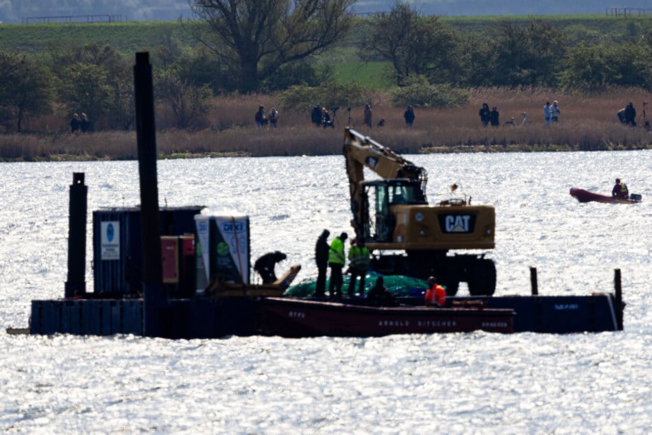 Die von der Initiative konstruierte Plattform samt Bagger ist mittlerweile wieder näher an den Wal herangerückt.