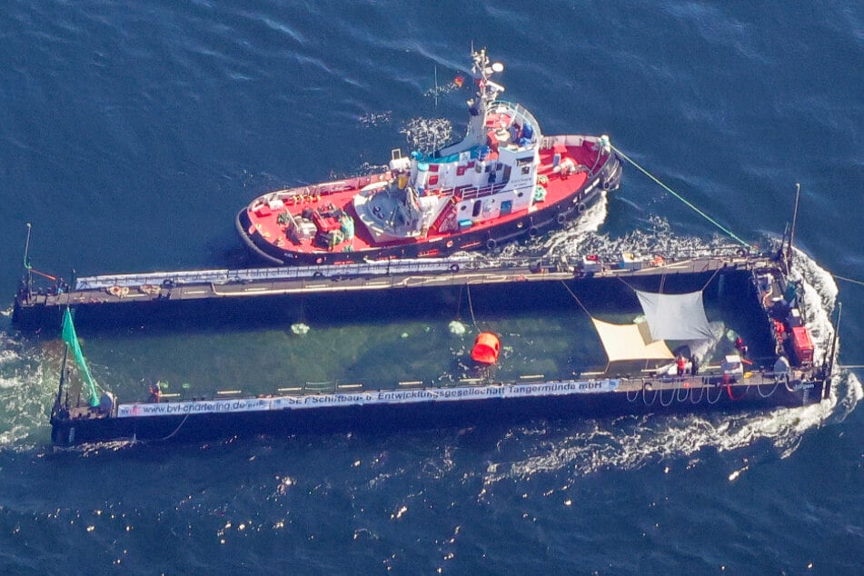 Die Flotte samt Barge und Buckelwal ist mittlerweile wieder auf Kurs Richtung Nordsee.