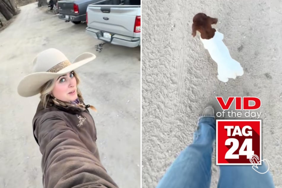 viral videos: Viral Video of the Day for January 23, 2025: Woman shares cute new "tripping hazard" she found on her farm!