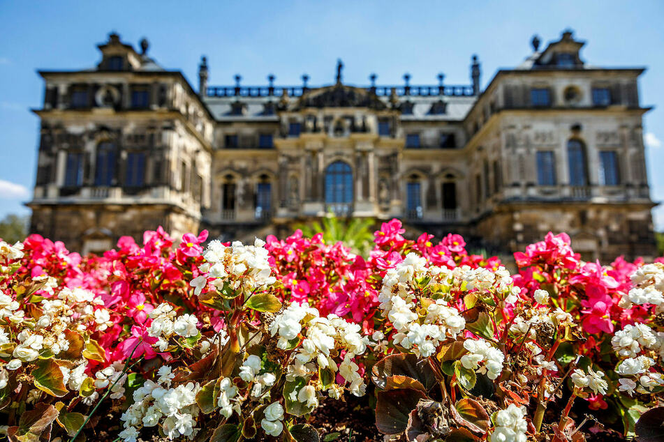 Vor dem Palais im Großen Garten in Dresden stehen trockene Blumen. Ob im Sommer sachsenweit neu gepflanzt werden kann, ist noch unklar. (Archivbild)