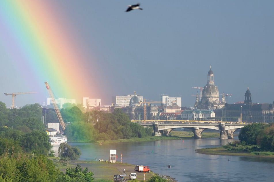 Wie wird das Wetter in Dresden? Mit TAG24 erfahrt Ihr es! © dpa/Sebastian Kahnert