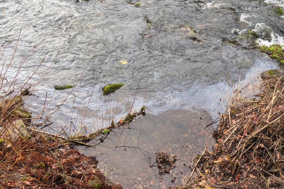 2500 Liter Heizöl ausgelaufen: Verschmutzung sorgt für Feuerwehreinsatz