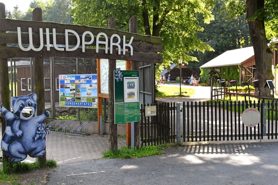 Im Wildpark Osterzgebirge ist ab 11 Uhr Herbstfest angesagt.