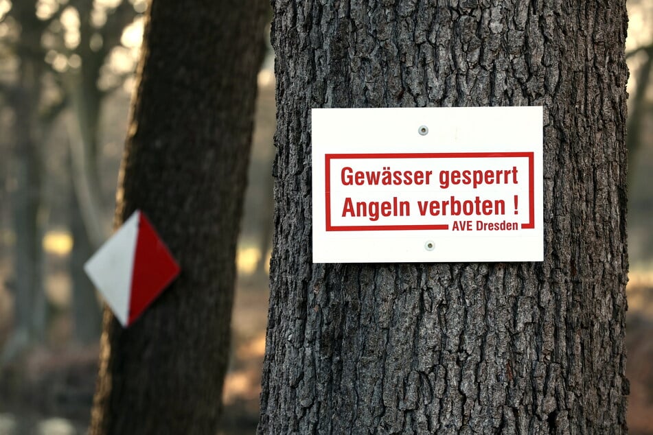 Angeln verboten: Bei Fischen aus den betroffenen Gewässern wurde die PFAS-Konzentration deutlich überschritten.