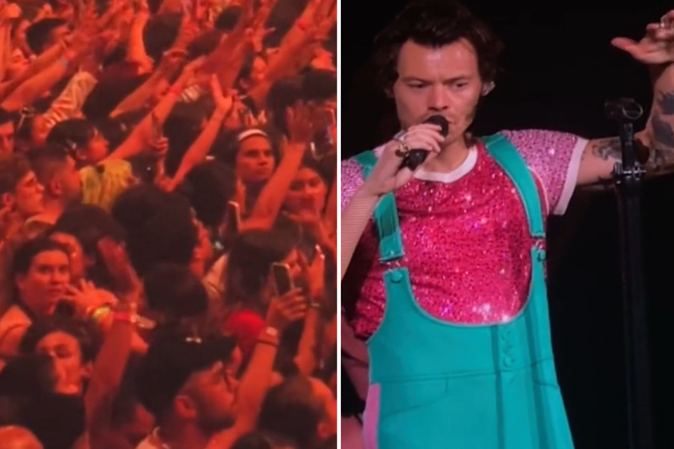 Harry Styles briefly stopped his show to ensure the safety of the audience.