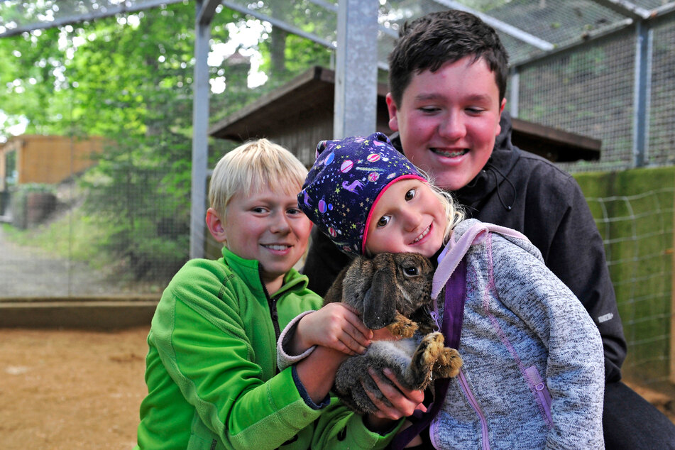 Nils (12), Lara (4) und Moritz Gründel (14) bei den Kaninchen im Streichelgehege.