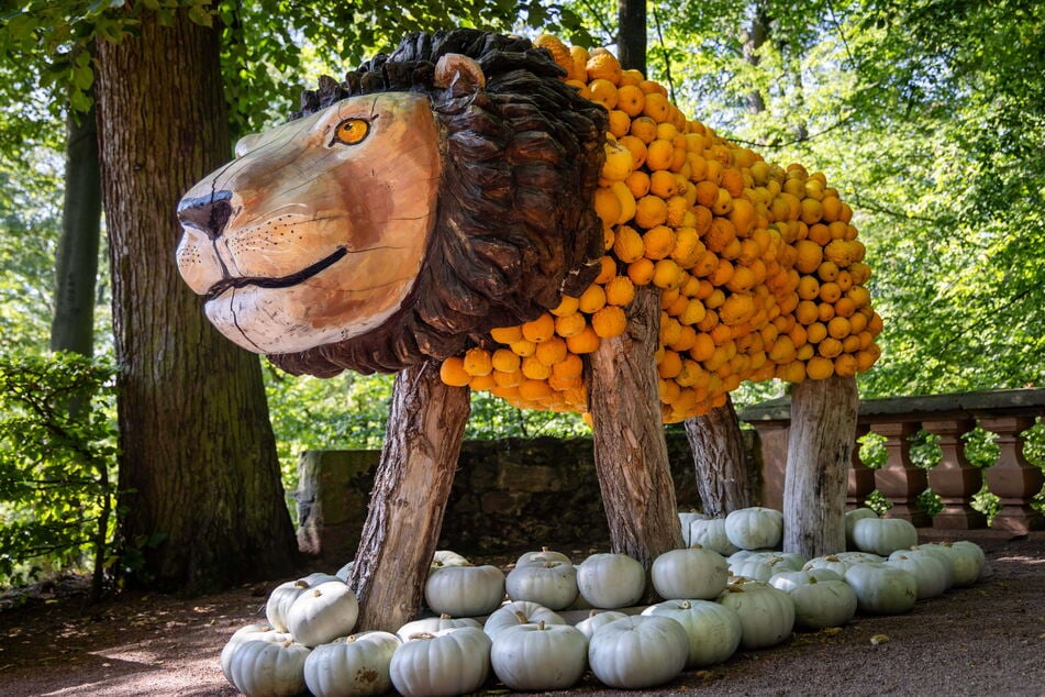 König der Tiere: Eine Löwenskulptur aus Kürbissen gibt's auch zu sehen.