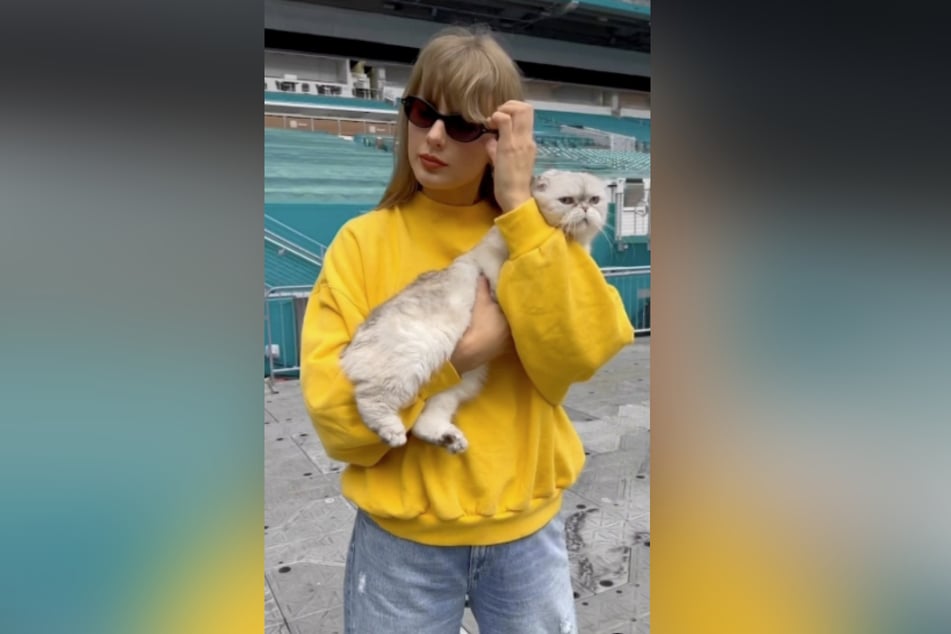 Sängerin Taylor Swift (34) und ihre Katze "Olivia Benson" begutachten die Arena vor dem Konzert.