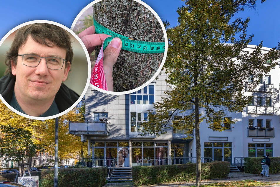 Chemnitz: Umweltschützer in Sorge: Protest gegen neue Fäll-Regeln für Bäume in Chemnitz