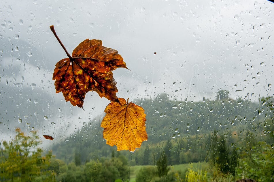 Am Samstagmorgen kann man in Baden-Württemberg mit milden Temperaturen rechnen - später am Tag wird es jedoch ungemütlich.