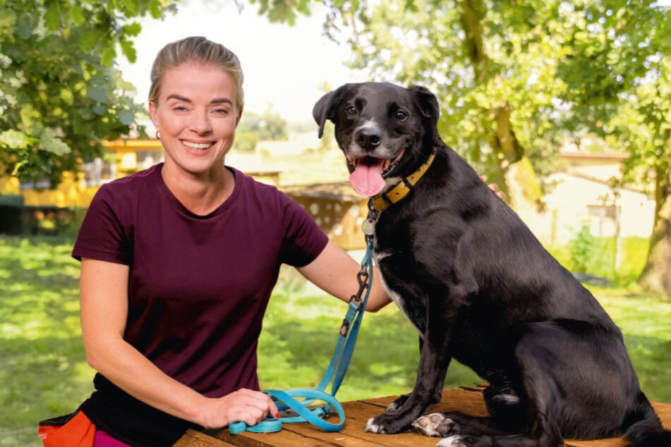 Bei LOTTO gewinnen Mensch und Tier. Hier im Tierheim Stendal-Borstel konnten die Bedingungen für Hunde und Katzen erheblich verbessert werden.