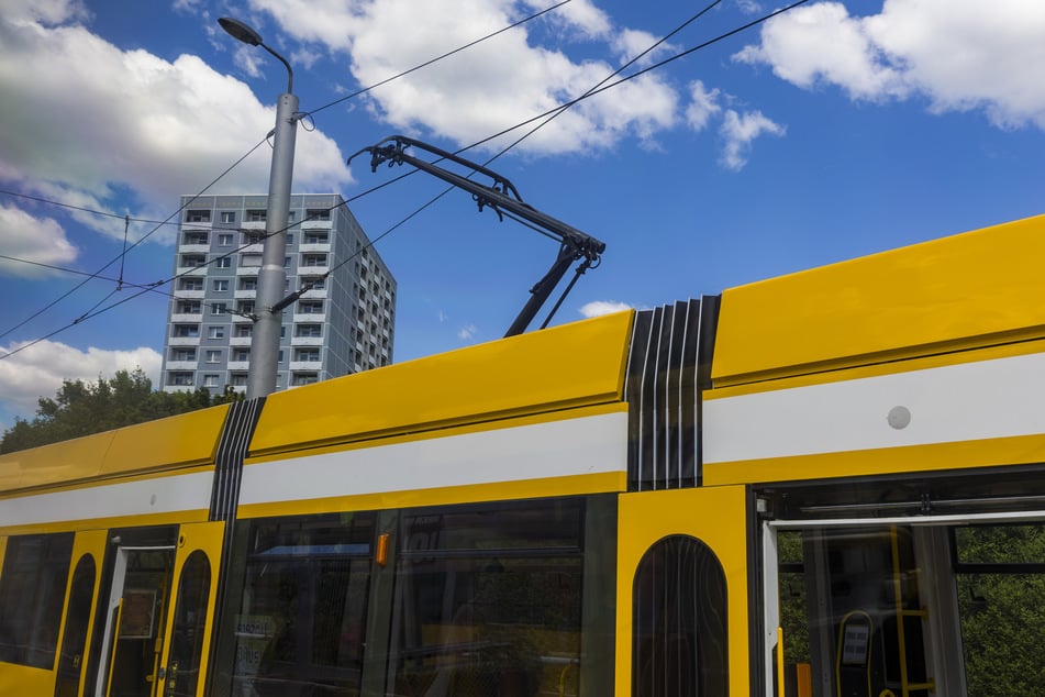 Eine Frau (36) wurde von einem Auto erfasst, nachdem sie aus einer Straßenbahn ausgestiegen war. (Symbolfoto)