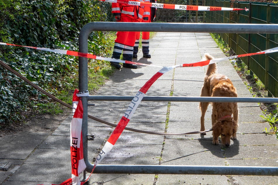 Rettungshund "Elmo" von den Johannitern nimmt die Spur auf.