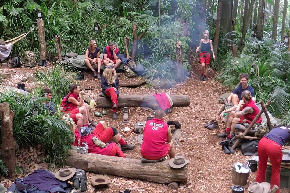 Noch sind alle Kandidaten im Camp versammelt. Die erste raus Wahl gibt es in der Regel ab Tag 8.