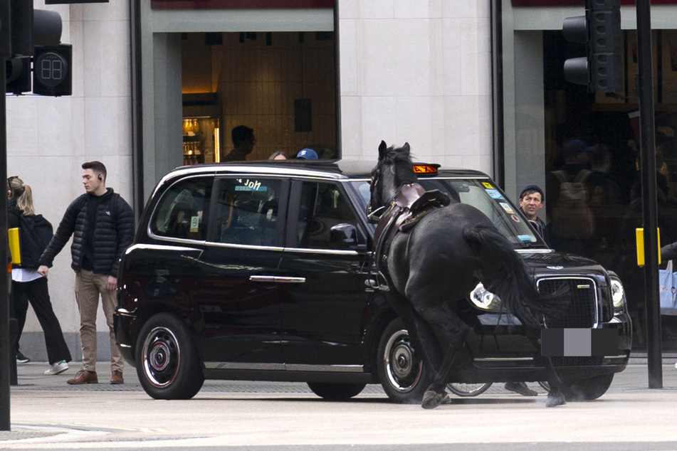 Ein schwarzes Pferd kollidierte mit einem Londoner Taxi.