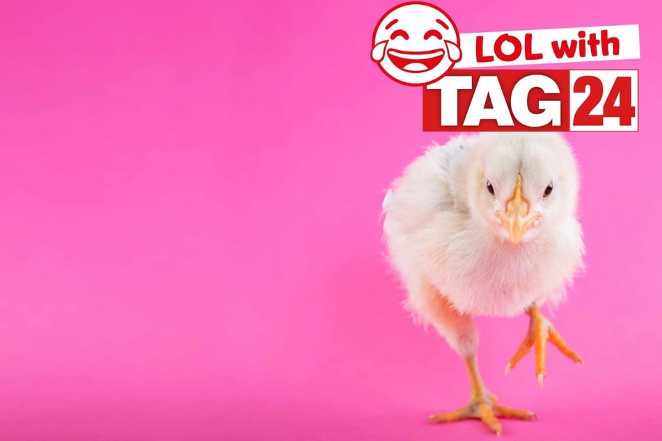 Joke of the Night for February 4, 2026: A cheeky funny.