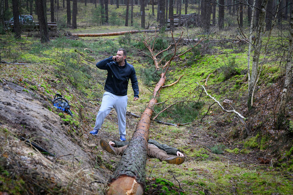"SOKO Wismar"-Kommissar Lars Pöhlmann findet im Wald einen Toten unter einem Baumstamm.