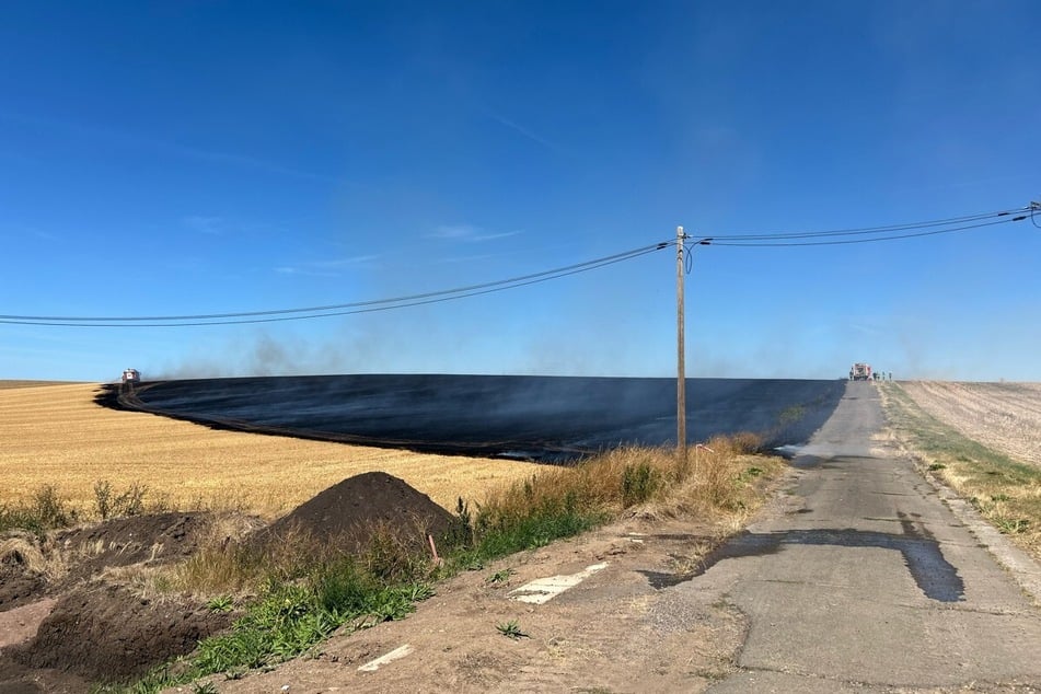 Die Spuren des Feuers sind auf dem Feld deutlich sichtbar.