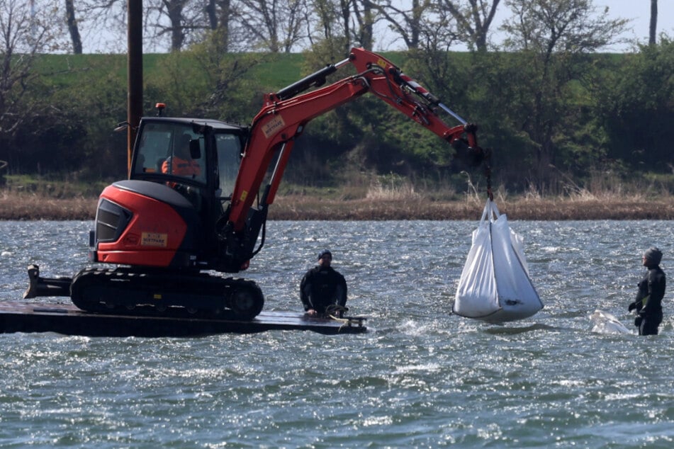 Mithilfe eines kleinen Baggers werden die Big Bags im Wasser platziert. Sie sollen als eine Art Barrikade für den Wal fungieren.