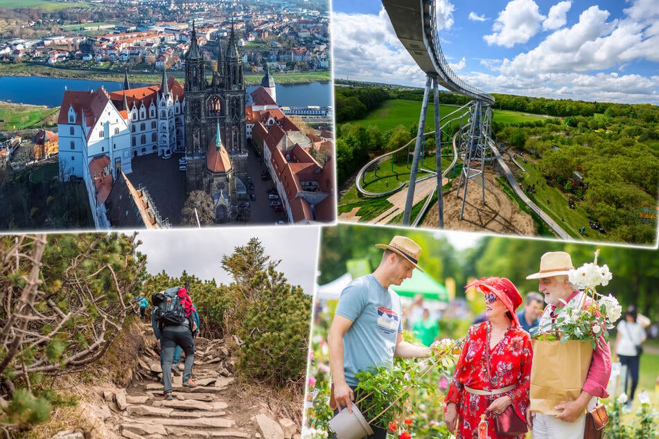 Dresden: Samstag noch nichts geplant? Dann kommen hier neun tolle Tipps