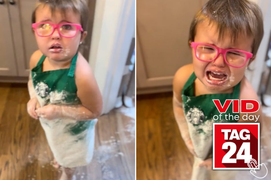 Today's Viral Video of the Day features mom Danielle as she walks in to find her toddler made a gigantic mess in the kitchen!