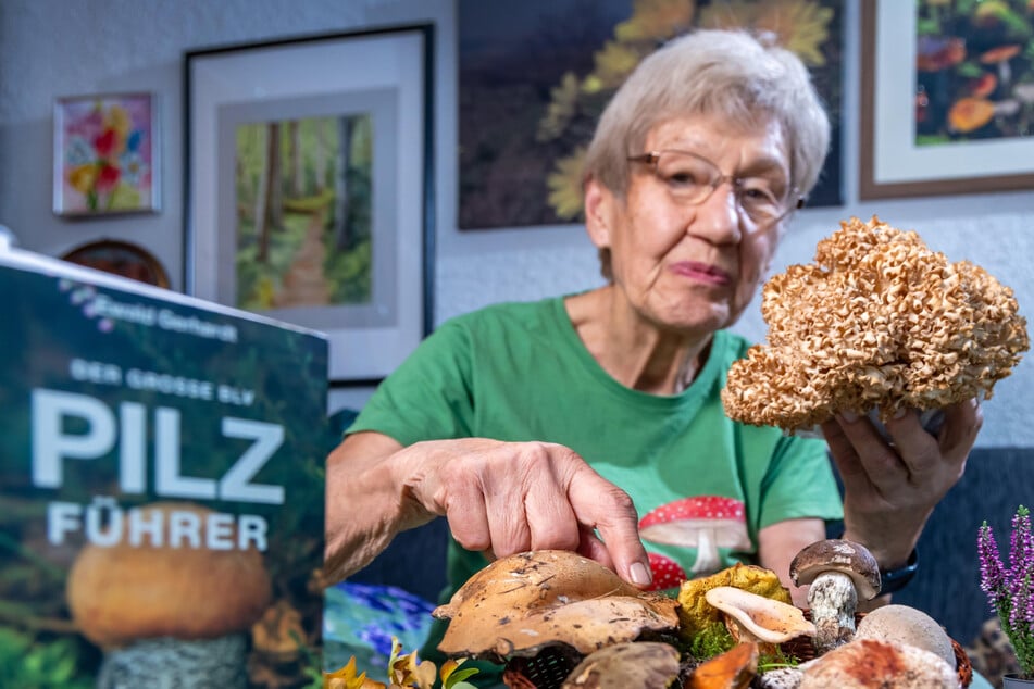 Sieglinde Köhler erkennt giftige Doppelgänger: Dieser Sächsin vertrauen Pilzsammler ihr Leben an