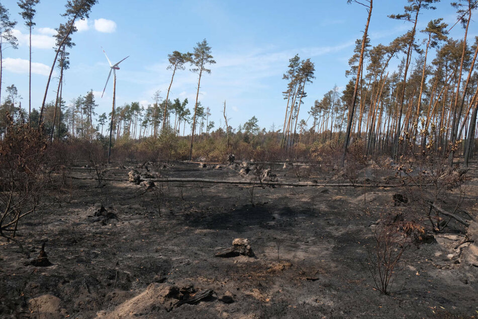 Obwohl der Waldbrand in Brandenburg gelöscht ist, besteht noch Grund zur Vorsicht.