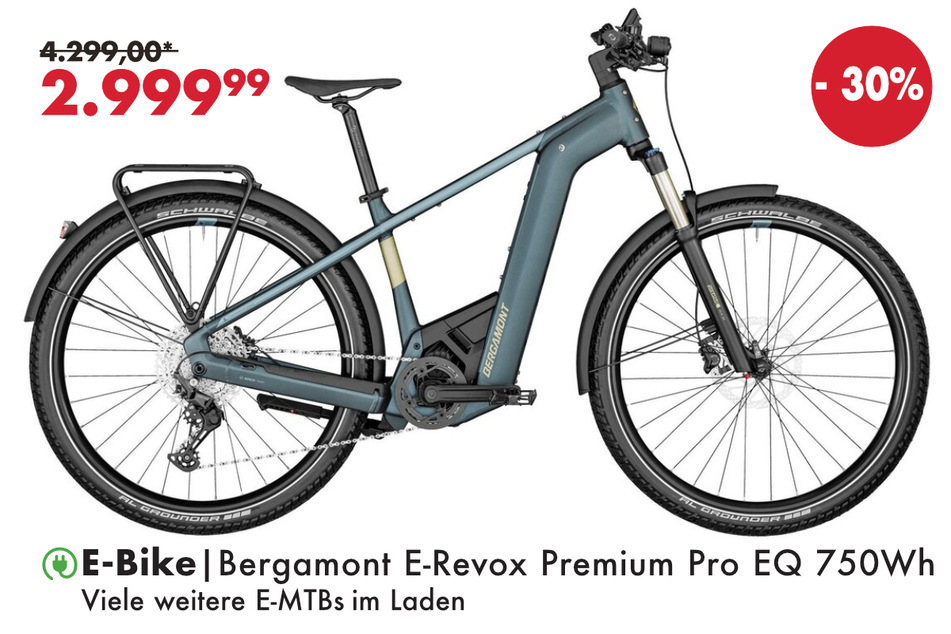 Bergamont E-Revox Premium Pro EQ